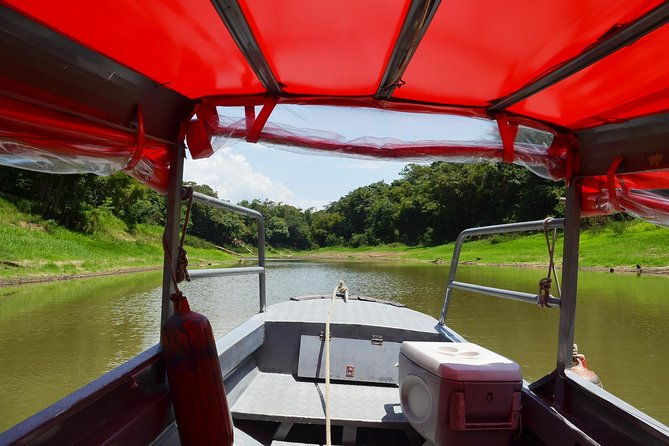 8-hour-amazonas-jungle-treck-anavilhanas-archipelago