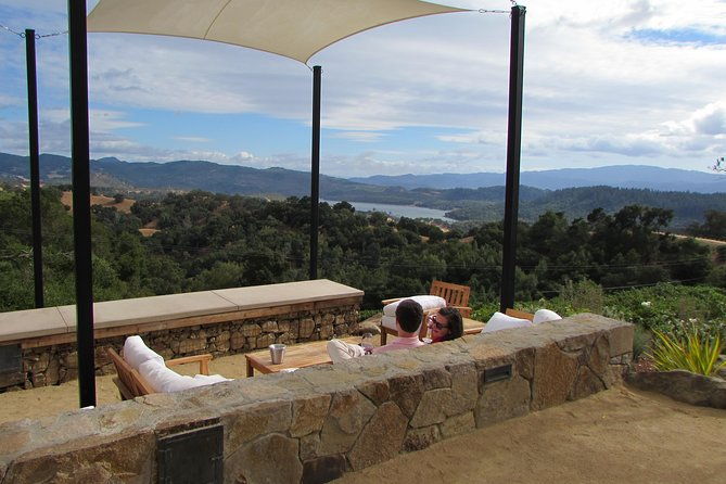 8-hour-private-customized-wine-tour-up-to-7-guests-napa-sonoma