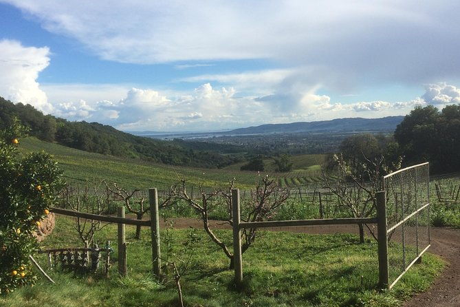 8-hour-private-wine-tour-experience-for-up-to-6-guests-san-francisco-to-sonoma