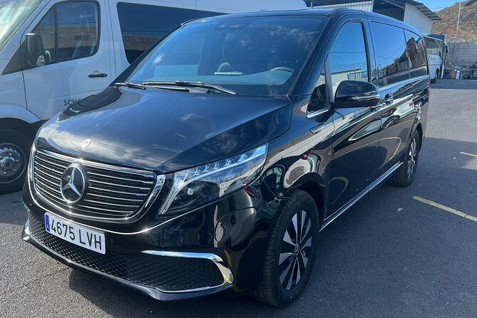 8-hour-rental-in-a-luxury-car-and-driver-official-private-guide-in-tenerife
