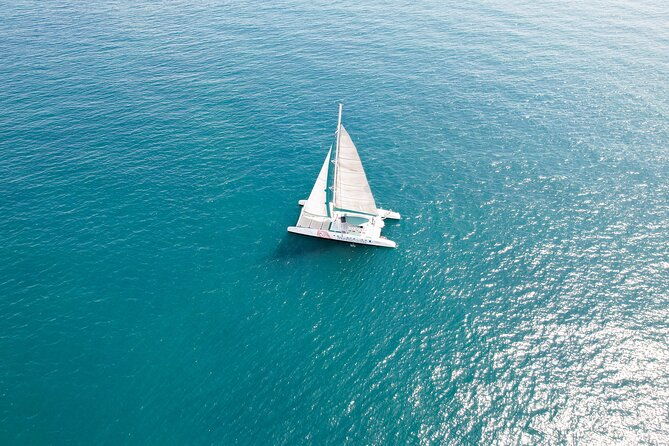 a-day-at-sea-aboard-mundo-marino-catamaran-in-valencia