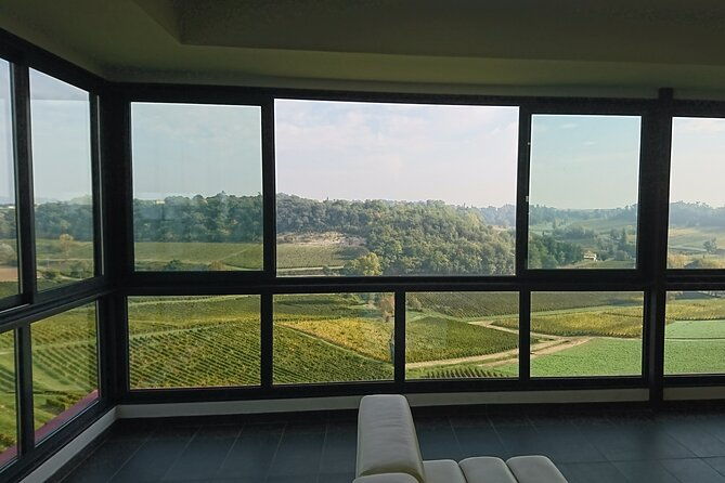a-day-in-saint-emilion-in-a-small-group-electric-luxury-van-2