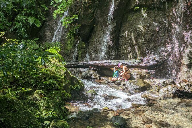 a-day-of-relaxation-in-the-jungle-and-waterfalls-of-dominica