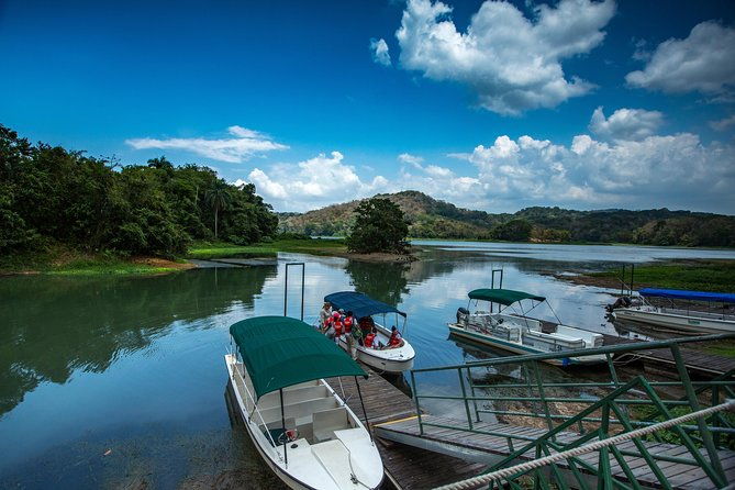 a-day-with-nature-boat-trip-on-gatun-lake-and-the-aerial-tram