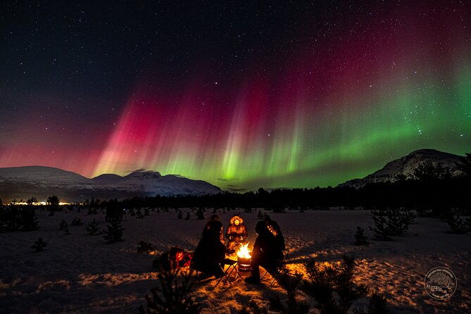 a-journey-in-search-of-the-northern-lights-private