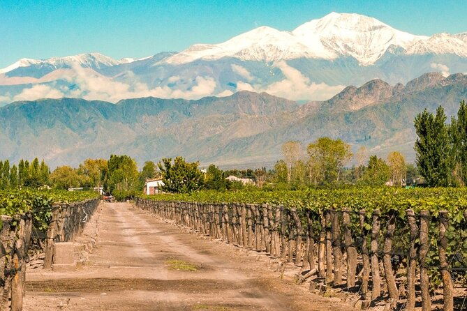 a-journey-to-the-heart-of-wine-winery-tour-free-wine