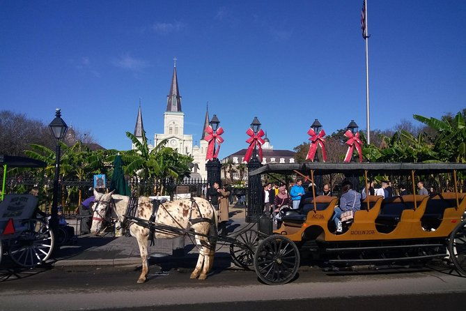 a-locals-private-french-quarter-walking-or-biking-tour
