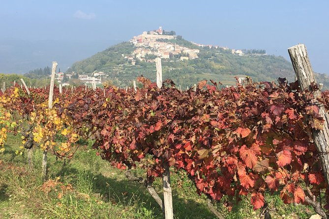 a-sample-of-wine-a-sample-of-istria-a-short-but-fulfilled-program