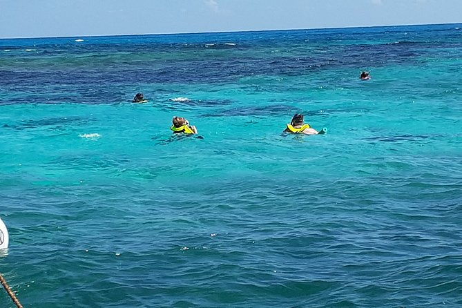 a-unique-private-snorkel-tour-of-key-largo