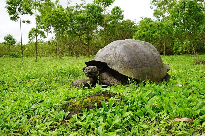 active-galapagos-island-tour-10-days