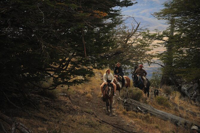 adventure-horseback-riding-on-cerro-frias