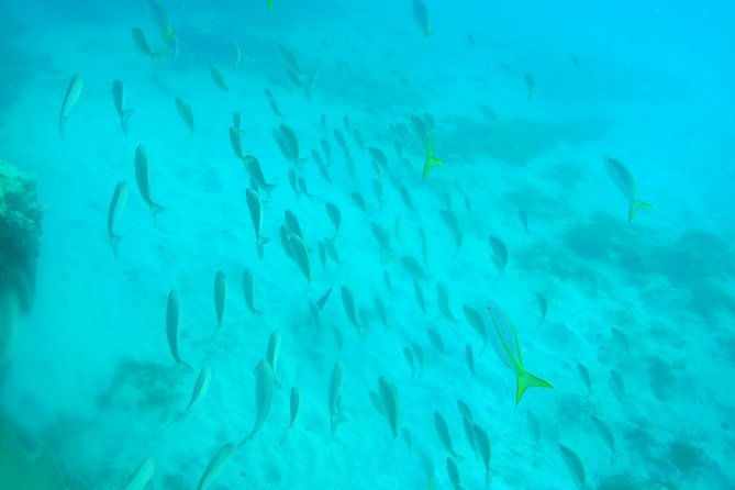 adventure-snuba-in-st-maarten