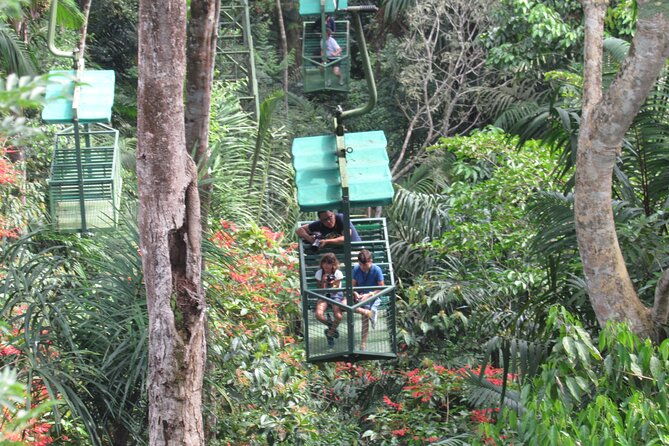 aerial-tram-sloth-sanctuary-in-the-rainforest