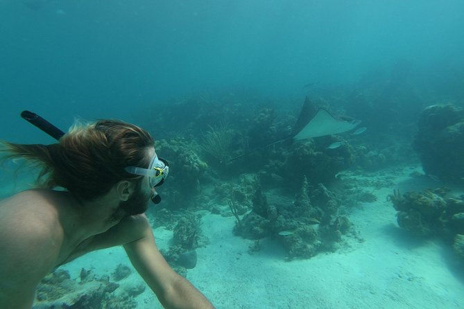 afternoon-half-day-cruise-from-providenciales-with-snorkeling-and-iguana-island