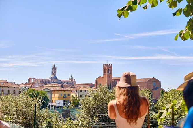 afternoon-in-siena-and-chianti-wine-tour-with-dinner-from-florence