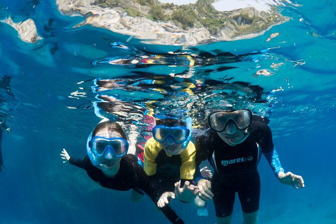 afternoon-snorkelling-guided-by-a-marine-biologist-in-sorrento