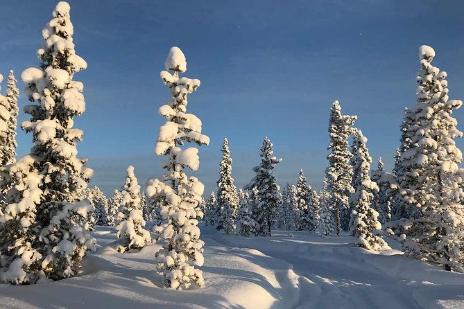 afternoon-snowmobile-tour