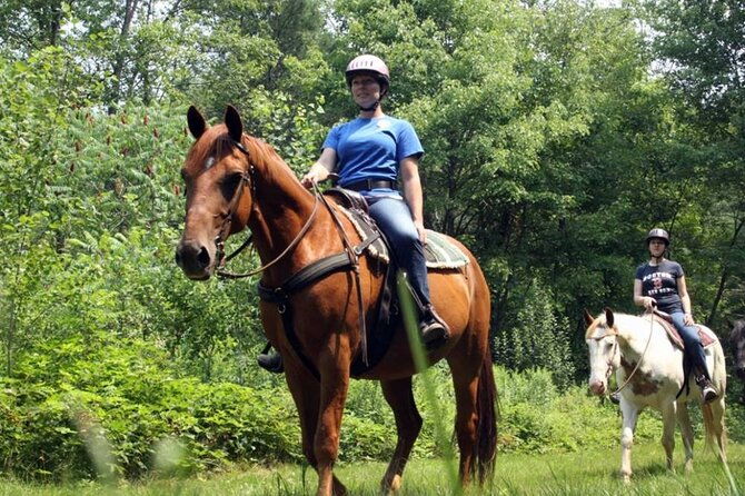 alanya-horse-riding-experience-with-free-hotel-transfer-2