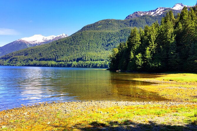 alaska-bears-and-silver-bay-homestead