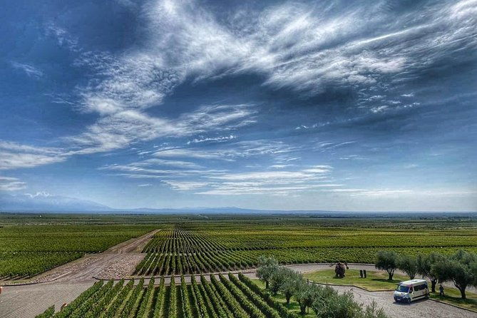 all-day-small-group-luxury-wine-tour-with-gourmet-lunch