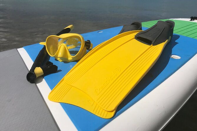 all-day-snorkeling-gear-rental-in-puerto-rico