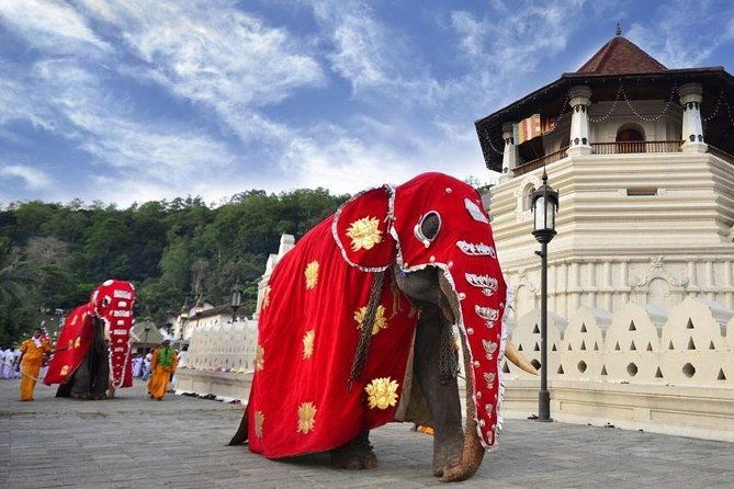 all-inclusive-kandy-private-day-tour-from-colombo-and-negombo