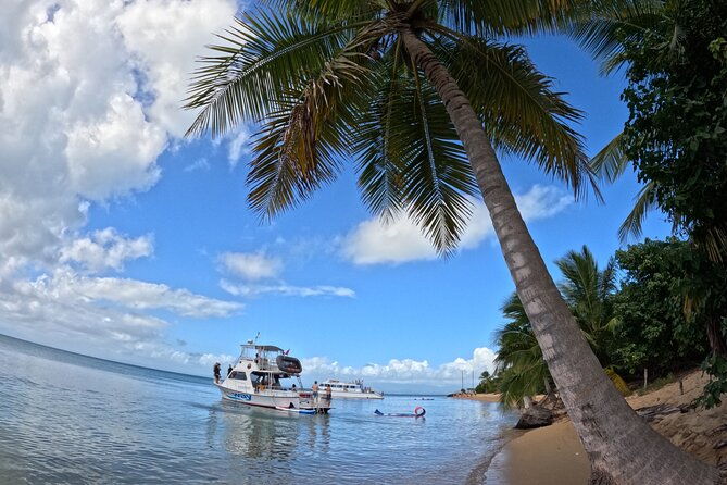 all-inclusive-vieques-swim-with-turtles-pristine-beaches-await