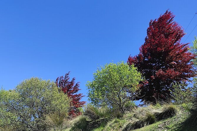 alpujarra-private-daytrip-from-granada