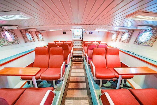 alta-fjord-whale-watching-on-a-heated-boat
