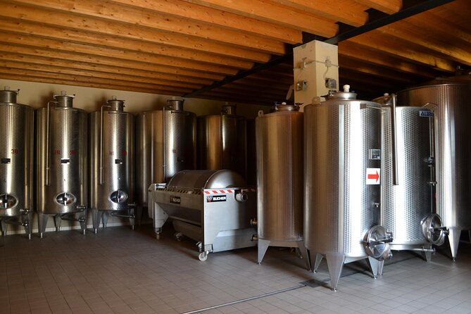 amarone-della-valpolicella-wine-experience-meet-the-vogadori-family