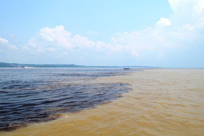 amazon-negro-river-half-day-expedition-tour
