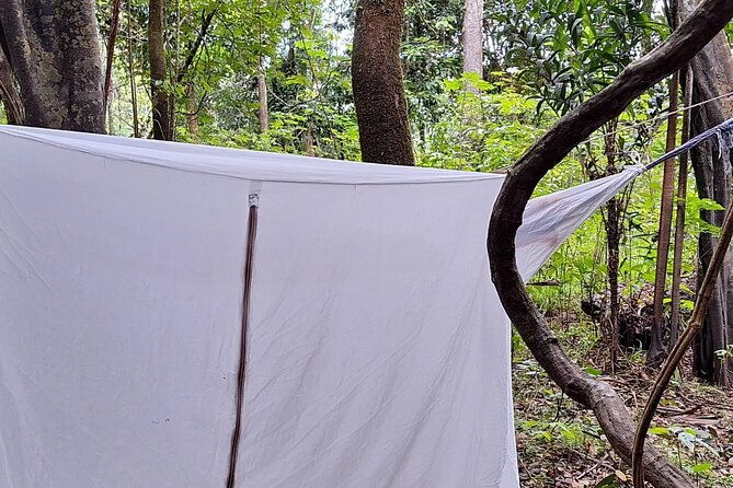 amazon-untamed-expedition-3-days-and-2-nights-pacaya-samiria