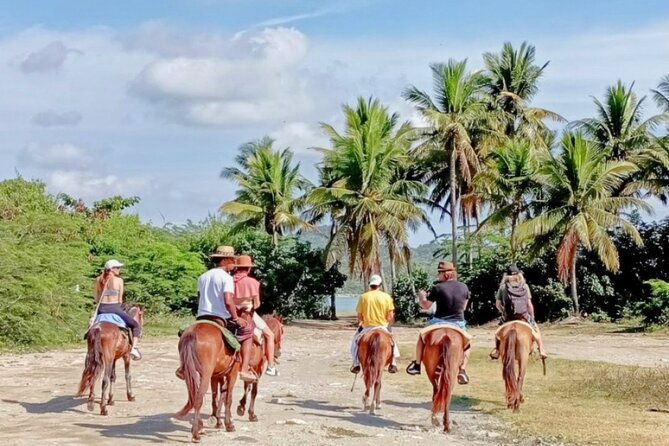 amber-cove-taino-bay-horses-beach-ride-city-sightseeing