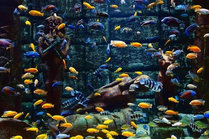 antalya-aquarium-and-face-to-face-wax-museum-ticket