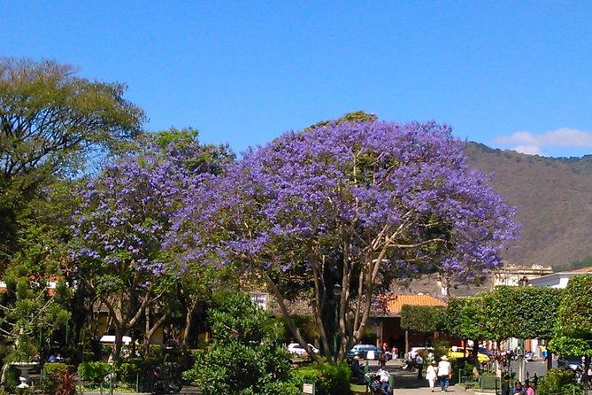 antigua-walking-tour-morning-and-afternoon