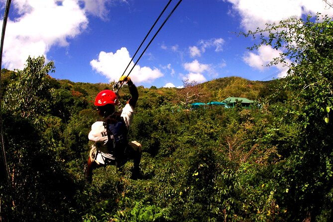 antigua-zipline-canopy-adventure-from-st-johns
