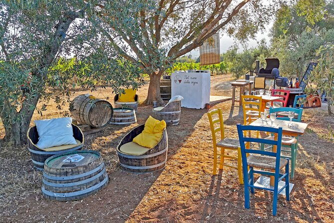 archeology-visit-to-a-vineyard-and-wine-and-pecorino-cheese-tasting-2