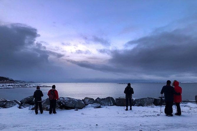 arctic-coastal-walk