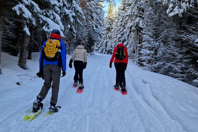 arctic-snowshoe-hike-in-norway