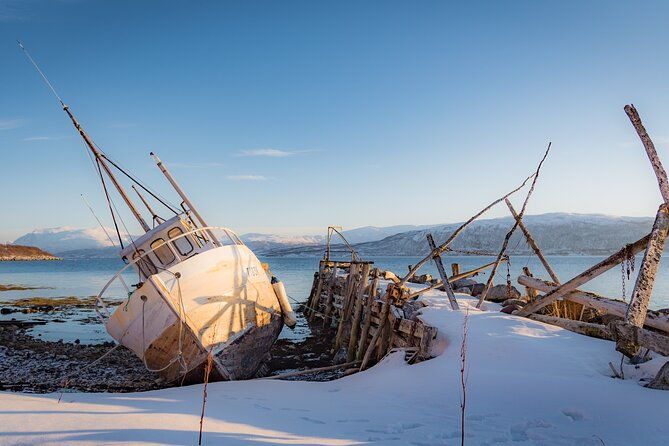 arctic-wildlife-and-fjord-sightseeing-2