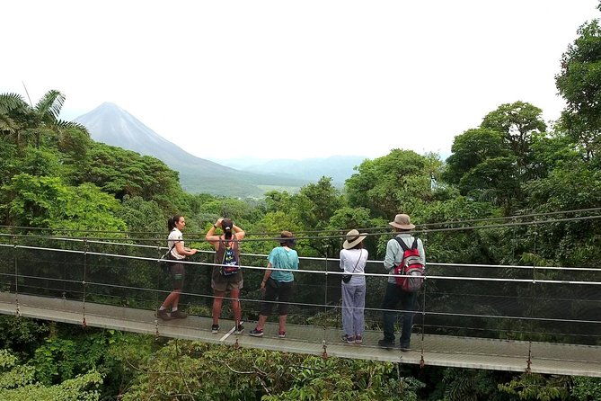 arenal-hanging-bridges-in-mistico-park