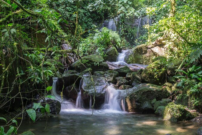 arenal-observatory-lodge-trails