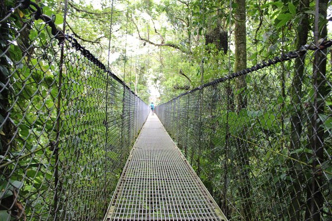 arenal-volcano-and-hot-springs-day-trip-from-guanacaste