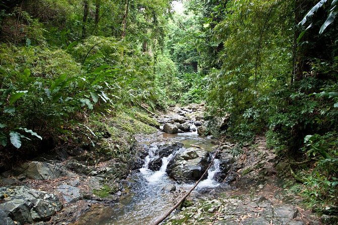 argyle-waterfall-with-adventure-farm