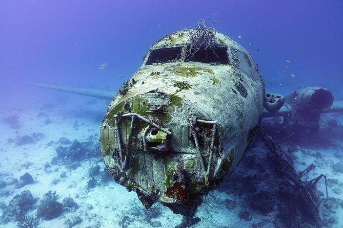 aruba-2-tank-guided-dive-for-certified-divers-with-own-equipment