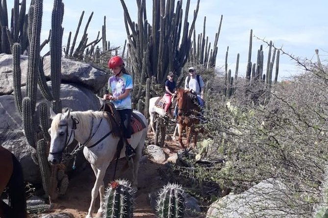 aruba-countryside-horseback-adventure-to-urirama-cove