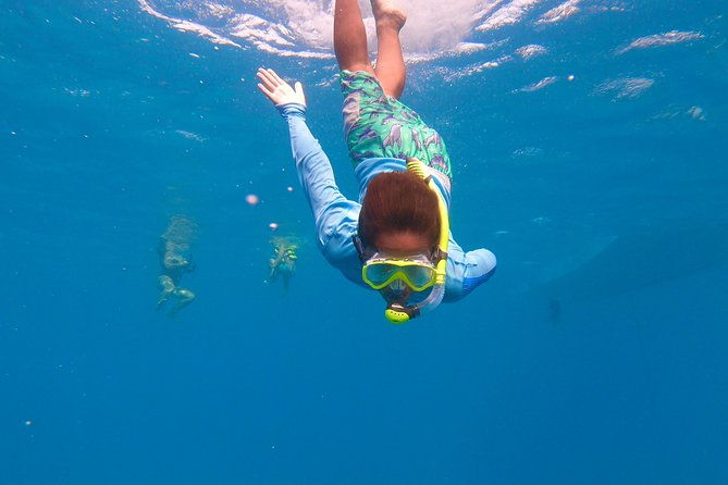aruba-element-private-boat-charter-after-lounge