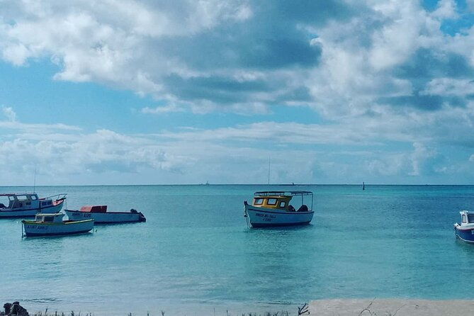 aruba-full-island-private-tour-4-hours