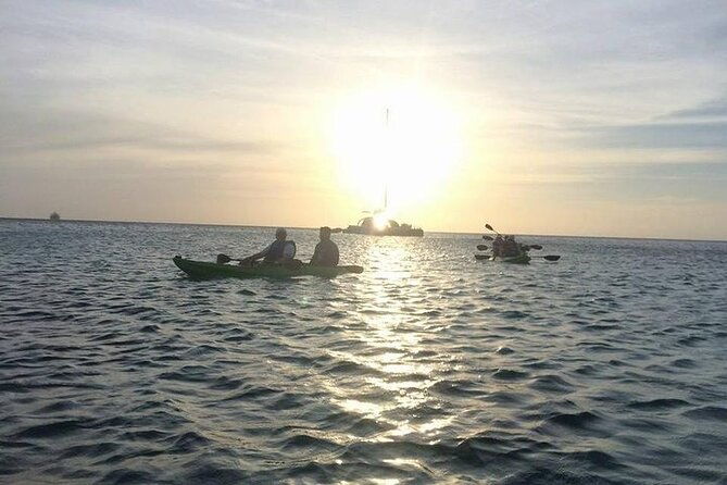 aruba-glass-bottom-kayak-tour-through-the-mangrove-forest