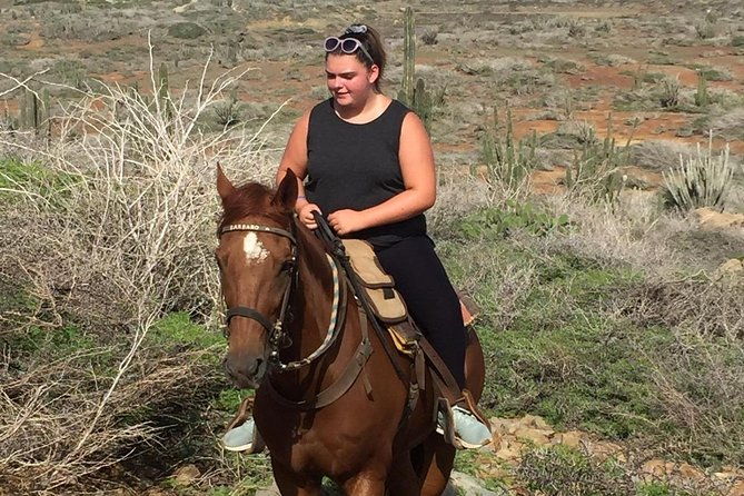aruba-horseback-riding-tour-for-advanced-riders